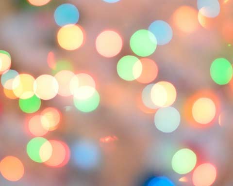 image depicting SOSCN webpage Business Support