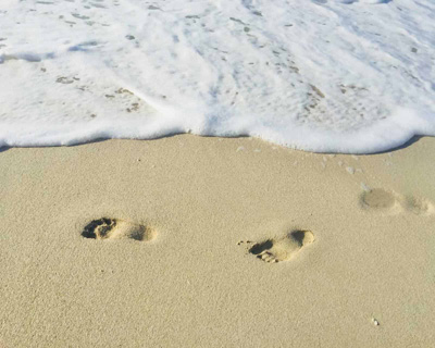 image depicting SOSCN webpage Care Inspectorate