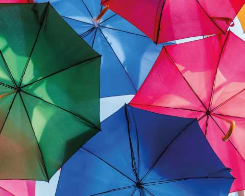 image depicting SOSCN webpage COVID-19 Inquiry Discussion