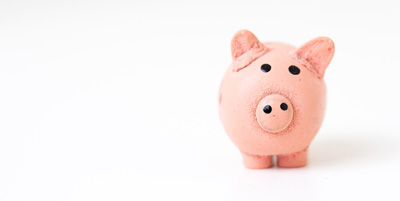 image depicting SOSCN webpage funding