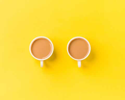 image depicting SOSCN webpage Online Membership Catch-up