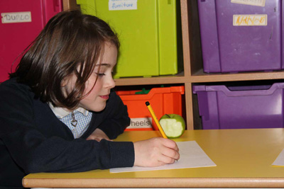 image depicting SOSCN webpage statistics