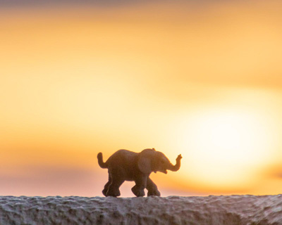 image depicting SOSCN webpage quality