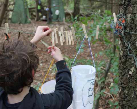 image depicting SOSCN webpage WILD Woodland Learning Visit