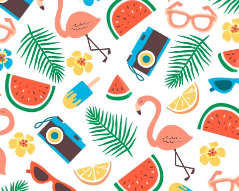 image depicting SOSCN webpage Summer 2024 Activities Booklet