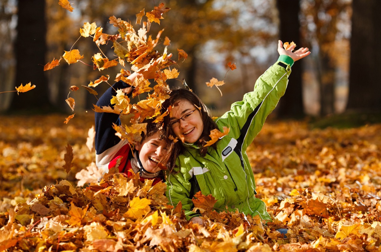 image depicting SOSCN webpage Oct 2025