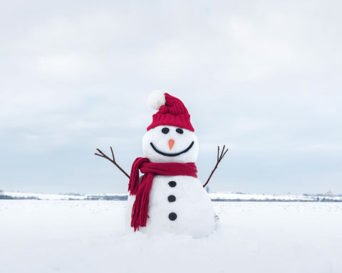 image depicting SOSCN webpage Dec 2024