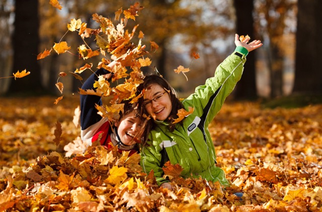 image depicting SOSCN webpage Oct 2025